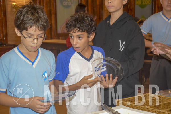 Buy your photos of the eventNR1 - English & Action - 31 a 02/06/19 on Fotop