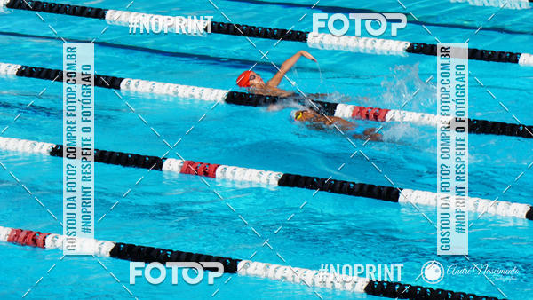 Buy your photos of the eventCorinthians  Torneio Timo de Natao - Trofu Mario Xavier on Fotop
