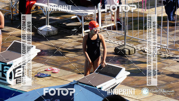 Buy your photos of the eventCorinthians  Torneio Timo de Natao - Trofu Mario Xavier on Fotop