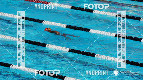 Buy your photos of the eventCorinthians  Torneio Timo de Natao - Trofu Mario Xavier on Fotop