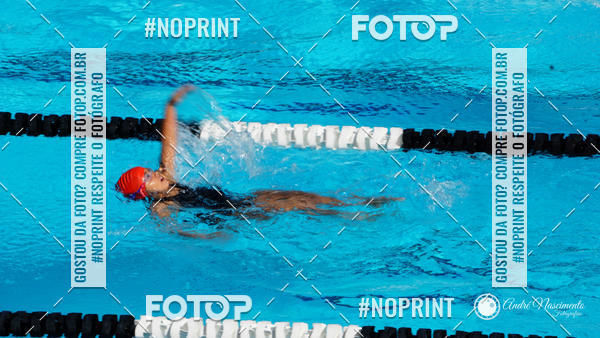 Buy your photos of the eventCorinthians  Torneio Timo de Natao - Trofu Mario Xavier on Fotop