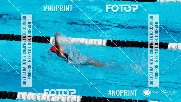 Buy your photos of the eventCorinthians  Torneio Timo de Natao - Trofu Mario Xavier on Fotop