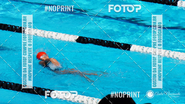 Buy your photos of the eventCorinthians  Torneio Timo de Natao - Trofu Mario Xavier on Fotop