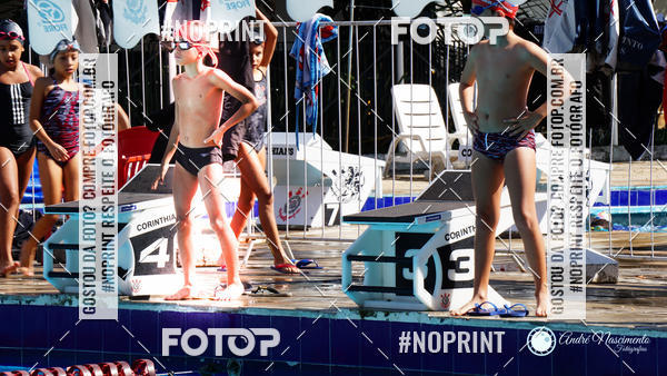 Buy your photos of the eventCorinthians  Torneio Timo de Natao - Trofu Mario Xavier on Fotop