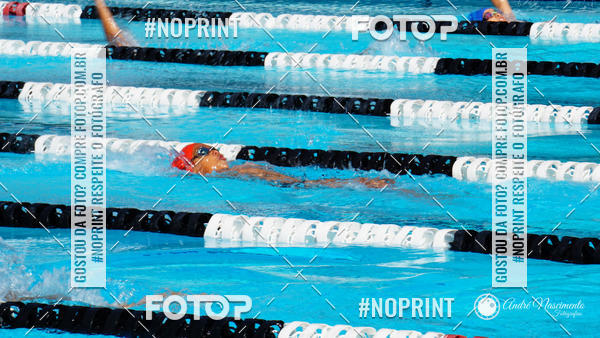 Buy your photos of the eventCorinthians  Torneio Timo de Natao - Trofu Mario Xavier on Fotop