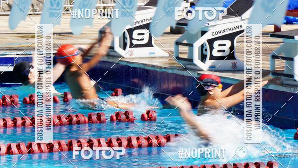 Buy your photos of the eventCorinthians  Torneio Timo de Natao - Trofu Mario Xavier on Fotop