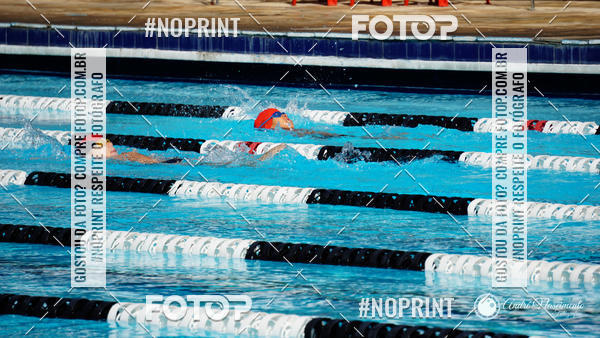 Buy your photos of the eventCorinthians  Torneio Timo de Natao - Trofu Mario Xavier on Fotop