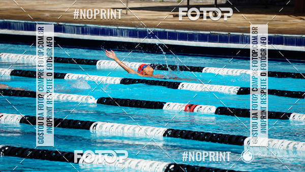 Buy your photos of the eventCorinthians  Torneio Timo de Natao - Trofu Mario Xavier on Fotop