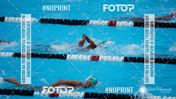 Buy your photos of the eventCorinthians  Torneio Timo de Natao - Trofu Mario Xavier on Fotop