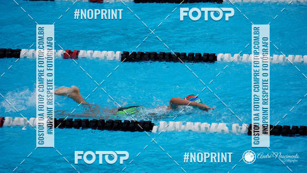 Buy your photos of the eventCorinthians  Torneio Timo de Natao - Trofu Mario Xavier on Fotop