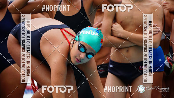 Buy your photos of the eventCorinthians  Torneio Timo de Natao - Trofu Mario Xavier on Fotop