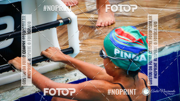 Buy your photos of the eventCorinthians  Torneio Timo de Natao - Trofu Mario Xavier on Fotop