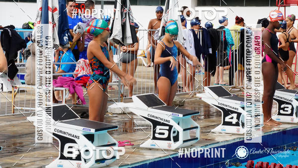 Buy your photos of the eventCorinthians  Torneio Timo de Natao - Trofu Mario Xavier on Fotop