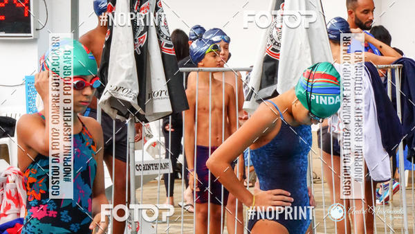 Buy your photos of the eventCorinthians  Torneio Timo de Natao - Trofu Mario Xavier on Fotop