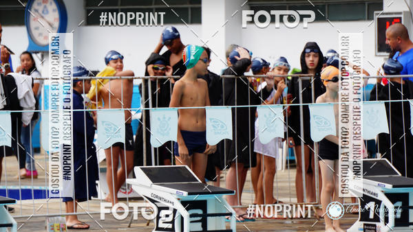 Buy your photos of the eventCorinthians  Torneio Timo de Natao - Trofu Mario Xavier on Fotop