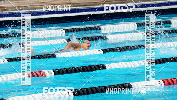 Buy your photos of the eventCorinthians  Torneio Timo de Natao - Trofu Mario Xavier on Fotop