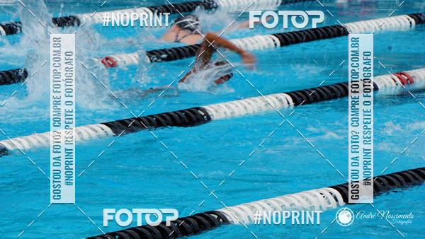 Buy your photos of the eventCorinthians  Torneio Timo de Natao - Trofu Mario Xavier on Fotop