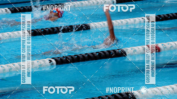 Buy your photos of the eventCorinthians  Torneio Timo de Natao - Trofu Mario Xavier on Fotop