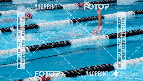 Buy your photos of the eventCorinthians  Torneio Timo de Natao - Trofu Mario Xavier on Fotop