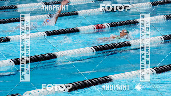 Buy your photos of the eventCorinthians  Torneio Timo de Natao - Trofu Mario Xavier on Fotop