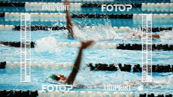 Buy your photos of the eventCorinthians  Torneio Timo de Natao - Trofu Mario Xavier on Fotop