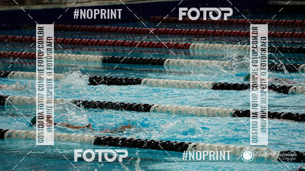 Buy your photos of the eventCorinthians  Torneio Timo de Natao - Trofu Mario Xavier on Fotop