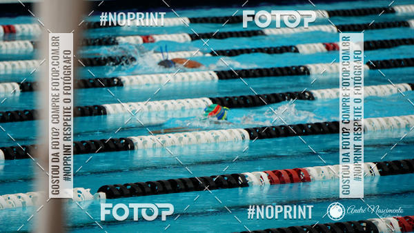 Buy your photos of the eventCorinthians  Torneio Timo de Natao - Trofu Mario Xavier on Fotop