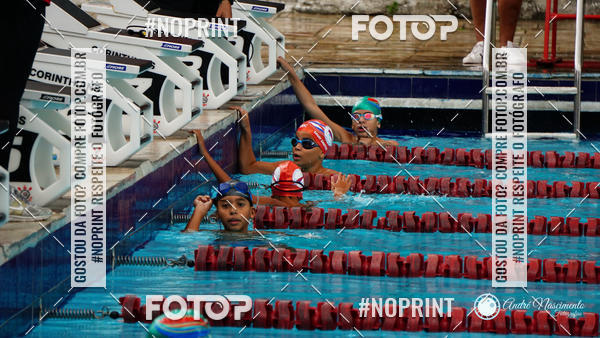 Buy your photos of the eventCorinthians  Torneio Timo de Natao - Trofu Mario Xavier on Fotop