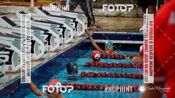 Buy your photos of the eventCorinthians  Torneio Timo de Natao - Trofu Mario Xavier on Fotop
