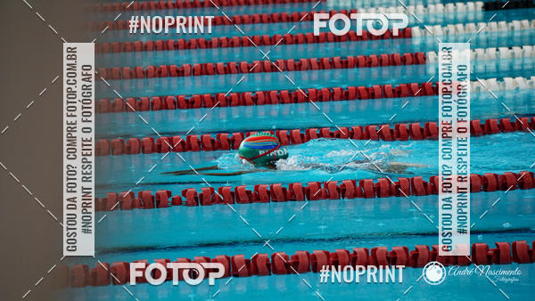 Buy your photos of the eventCorinthians  Torneio Timo de Natao - Trofu Mario Xavier on Fotop