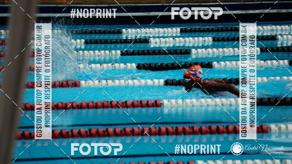 Buy your photos of the eventCorinthians  Torneio Timo de Natao - Trofu Mario Xavier on Fotop