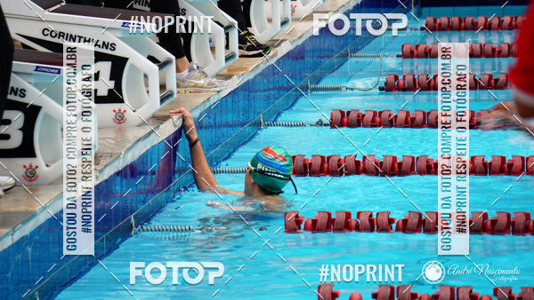 Buy your photos of the eventCorinthians  Torneio Timo de Natao - Trofu Mario Xavier on Fotop