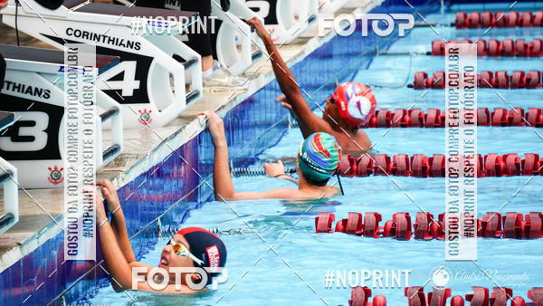 Buy your photos of the eventCorinthians  Torneio Timo de Natao - Trofu Mario Xavier on Fotop