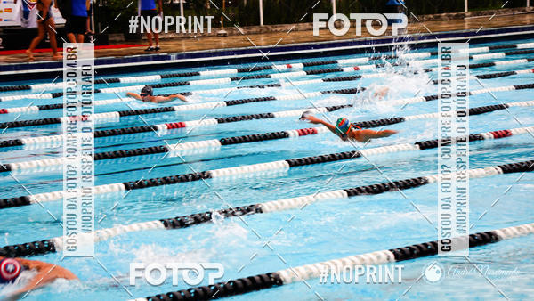 Buy your photos of the eventCorinthians  Torneio Timo de Natao - Trofu Mario Xavier on Fotop