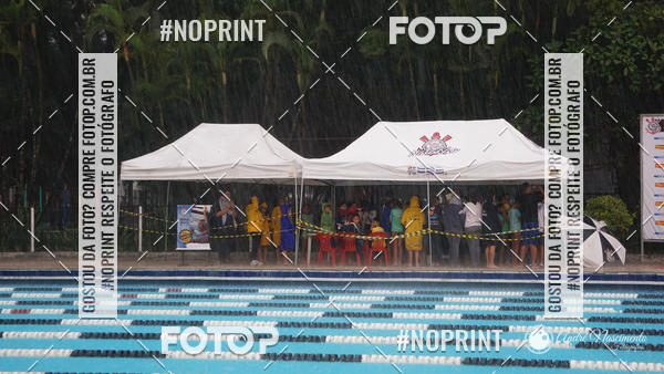 Buy your photos of the eventCorinthians  Torneio Timo de Natao - Trofu Mario Xavier on Fotop
