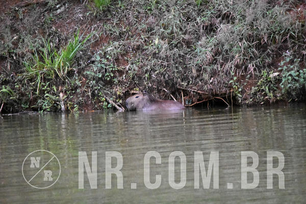 Buy your photos of the event NR2 CLSSICO - 03 a 07/06/19 on Fotop