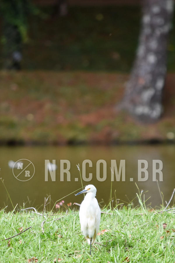 Buy your photos of the event NR2 CL�SSICO - 03 a 07/06/19 on Fotop