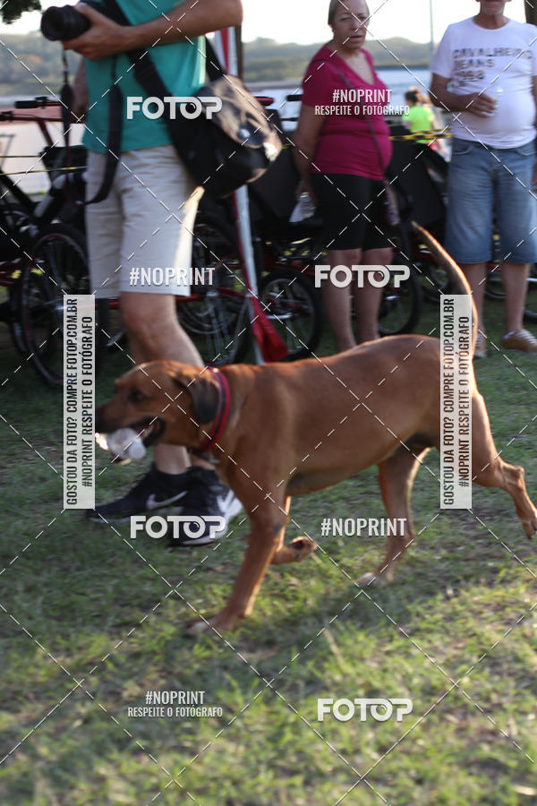 Buy your photos of the event5 Corridinha Turstica de Jaguarina  on Fotop