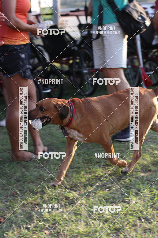 Buy your photos of the event5 Corridinha Turstica de Jaguarina  on Fotop