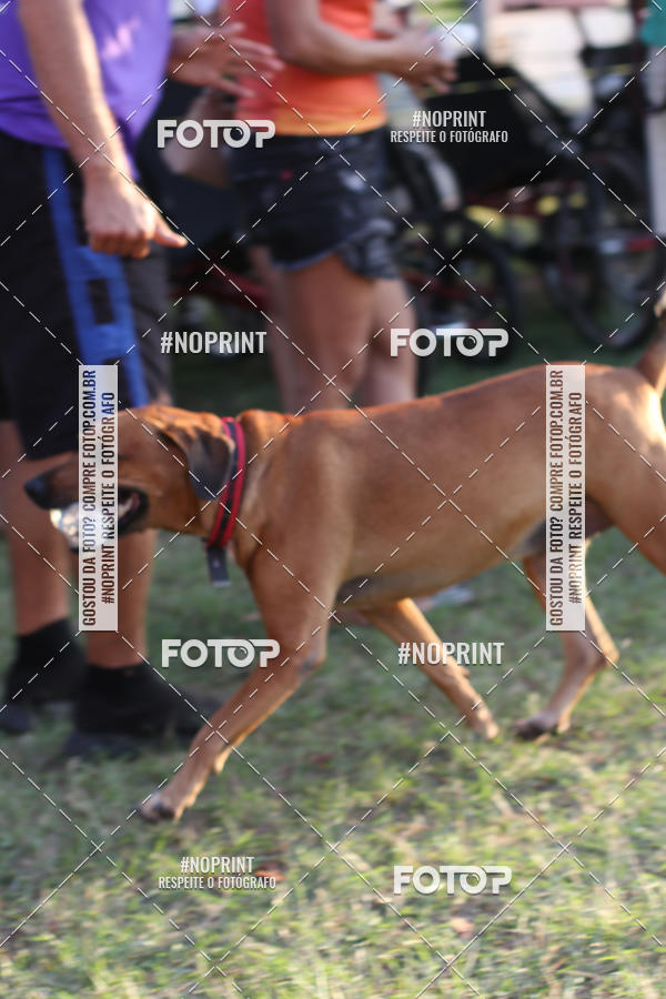 Buy your photos of the event5 Corridinha Turstica de Jaguarina  on Fotop