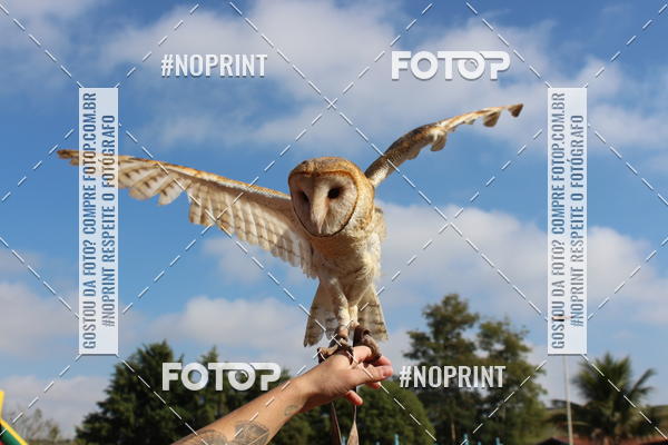 Buy your photos of the eventTreino De Aniversario Amigos Runners Taubate on Fotop