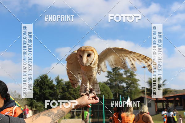 Buy your photos of the eventTreino De Aniversario Amigos Runners Taubate on Fotop