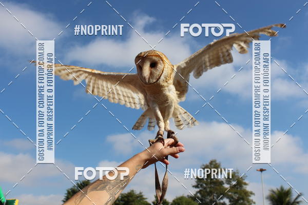 Buy your photos of the eventTreino De Aniversario Amigos Runners Taubate on Fotop