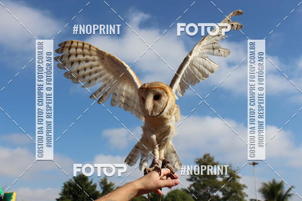 Buy your photos of the eventTreino De Aniversario Amigos Runners Taubate on Fotop