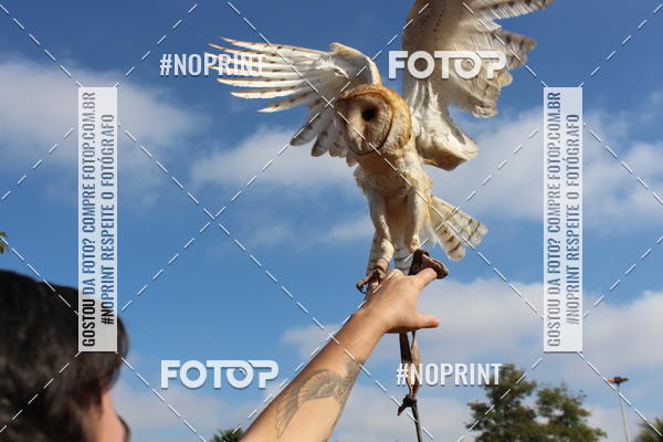 Buy your photos of the eventTreino De Aniversario Amigos Runners Taubate on Fotop