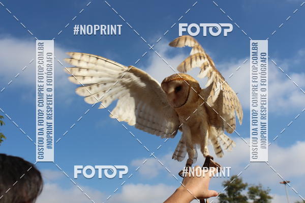 Buy your photos of the eventTreino De Aniversario Amigos Runners Taubate on Fotop