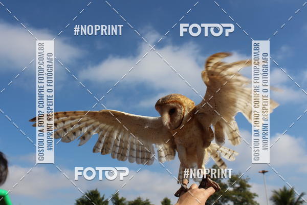 Buy your photos of the eventTreino De Aniversario Amigos Runners Taubate on Fotop