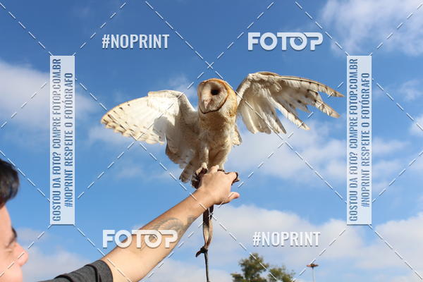 Buy your photos of the eventTreino De Aniversario Amigos Runners Taubate on Fotop