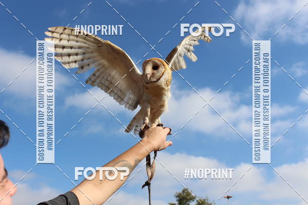 Buy your photos of the eventTreino De Aniversario Amigos Runners Taubate on Fotop