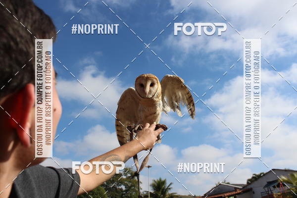 Buy your photos of the eventTreino De Aniversario Amigos Runners Taubate on Fotop